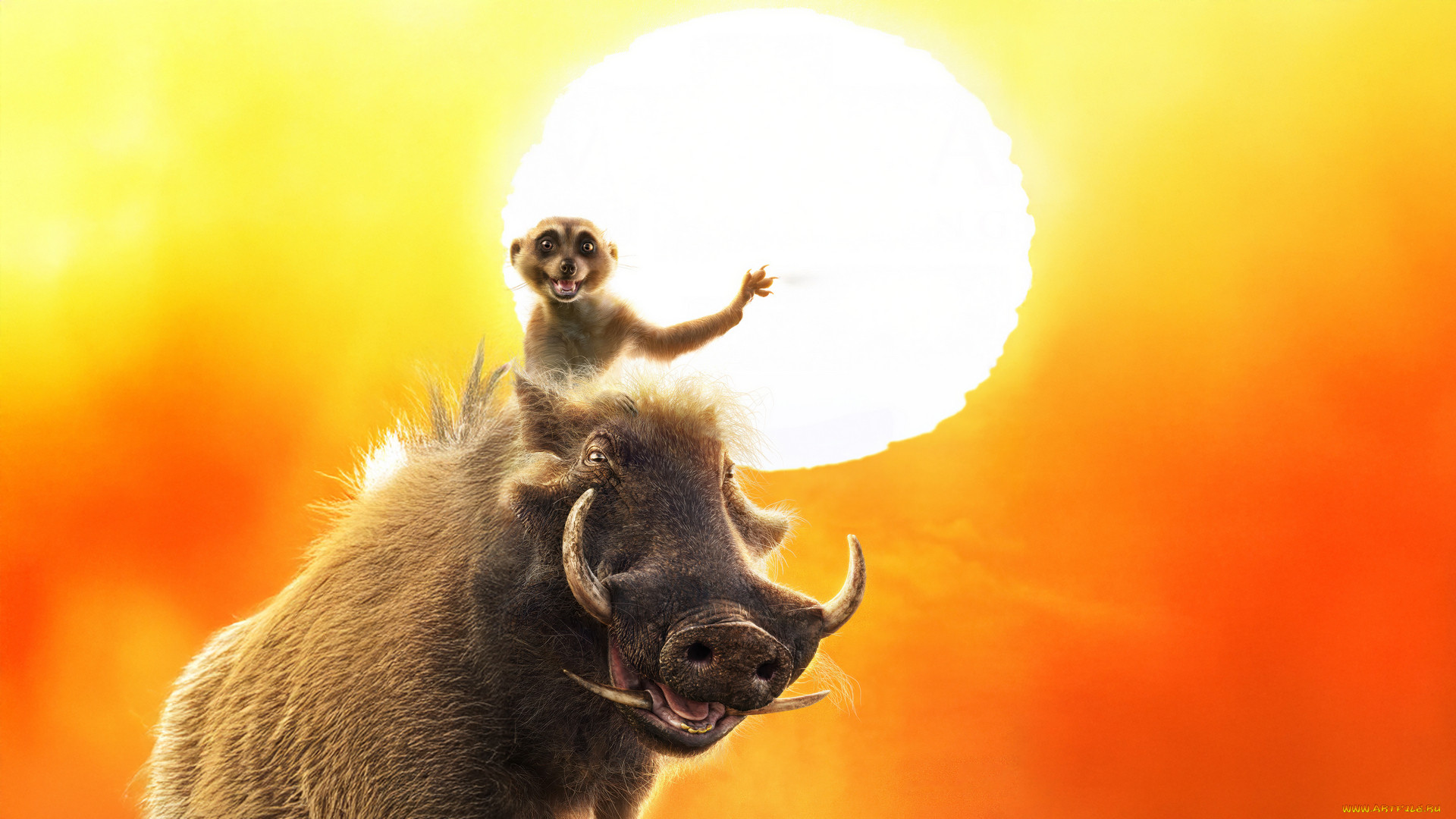 mufasa,  the lion king ,  2024 , ,  the lion king, timon, pumbaa, the, lion, king, oe, , , , 